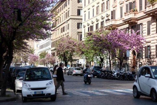 The One Vaticano Rooms Roma Exterior foto